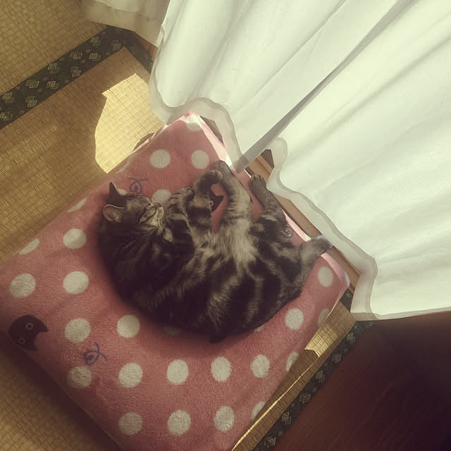 richanさんの実例写真