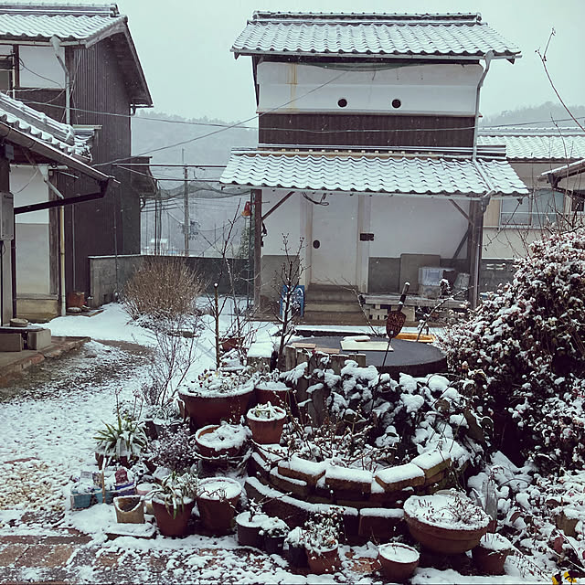 cota2さんの実例写真