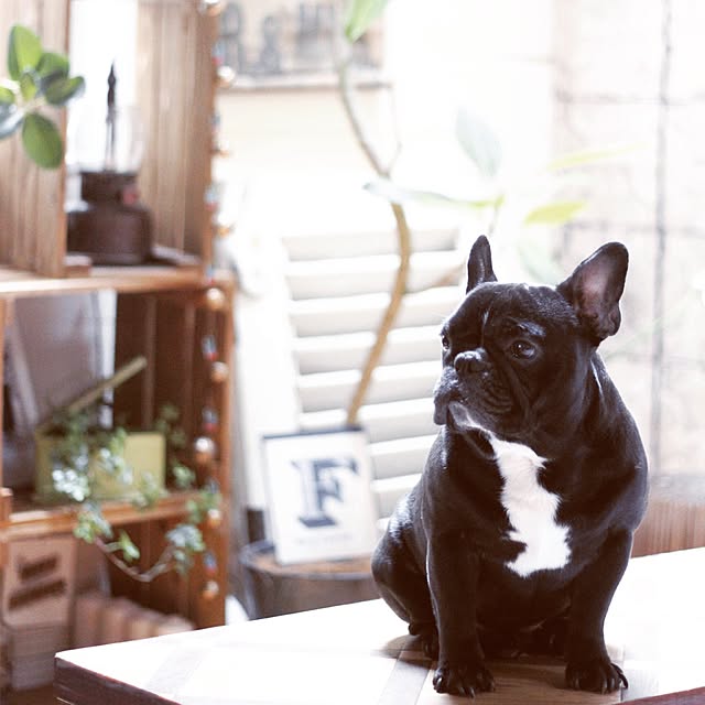 Rumiさんの実例写真