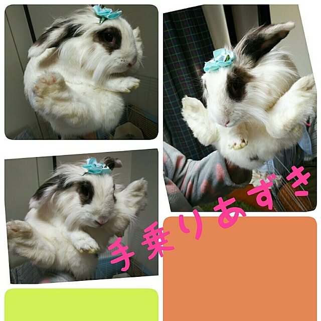WASABIさんの実例写真