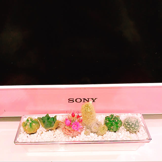 anatomyさんの実例写真