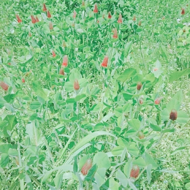 namazuさんの実例写真