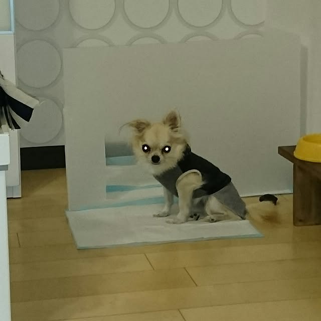 Asukaさんの実例写真