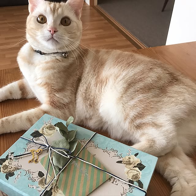 hiyupan88さんの実例写真