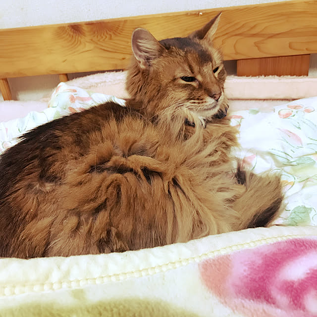 yukarinさんの実例写真