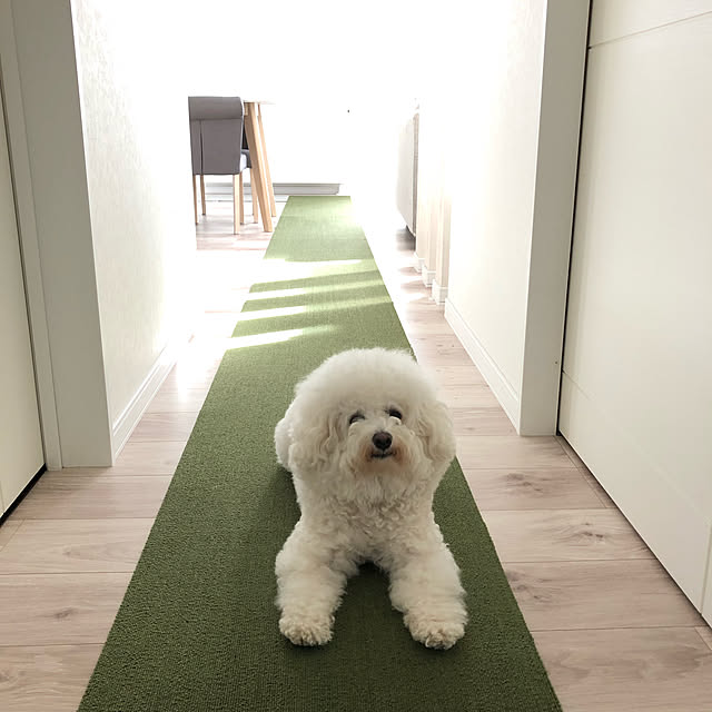 unichanさんの実例写真