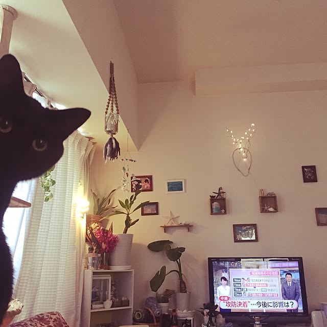 yumさんの実例写真