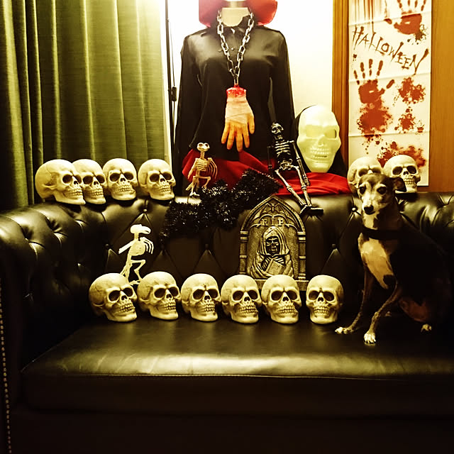 moruさんの実例写真