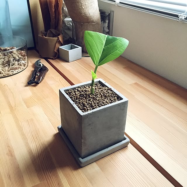 Naokiさんの実例写真