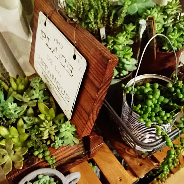 kiriさんの実例写真