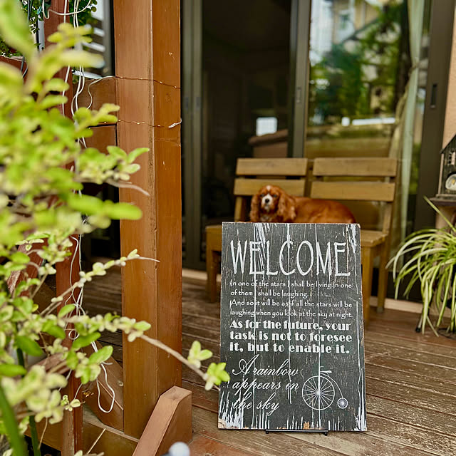 juncocoさんの部屋