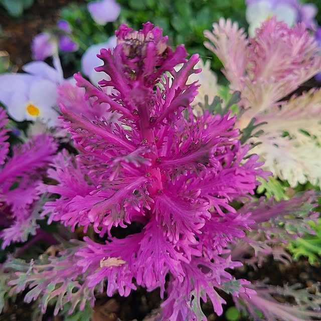 yumi.grandsaisonさんの部屋