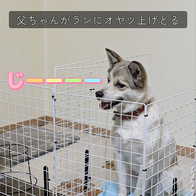 asaさんの実例写真