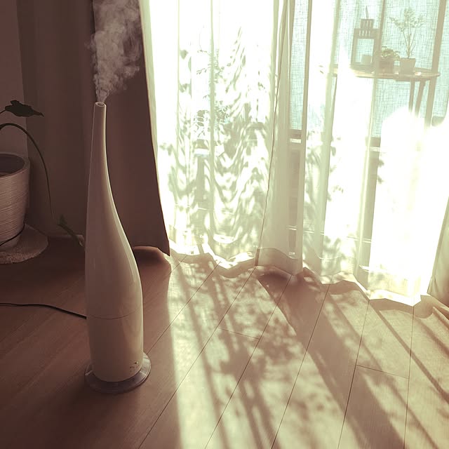 部屋全体/IKEA/観葉植物/塩系インテリアの会/100均のインテリア実例 - 2016-02-27 11:29:08