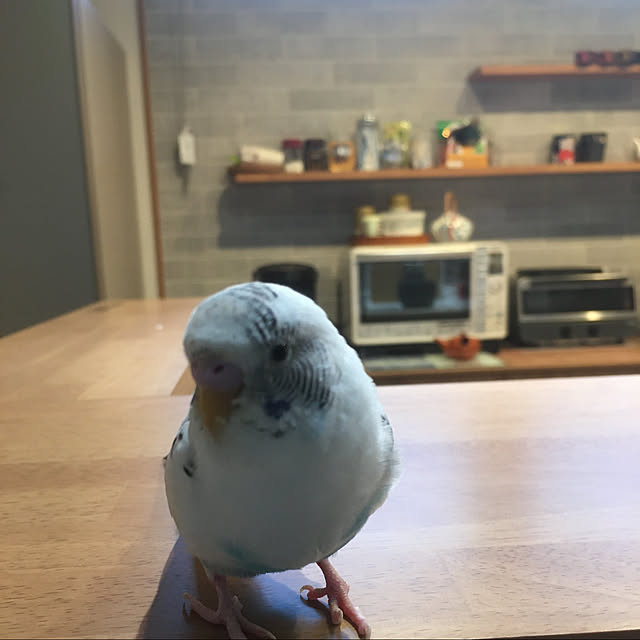 kayoさんの実例写真
