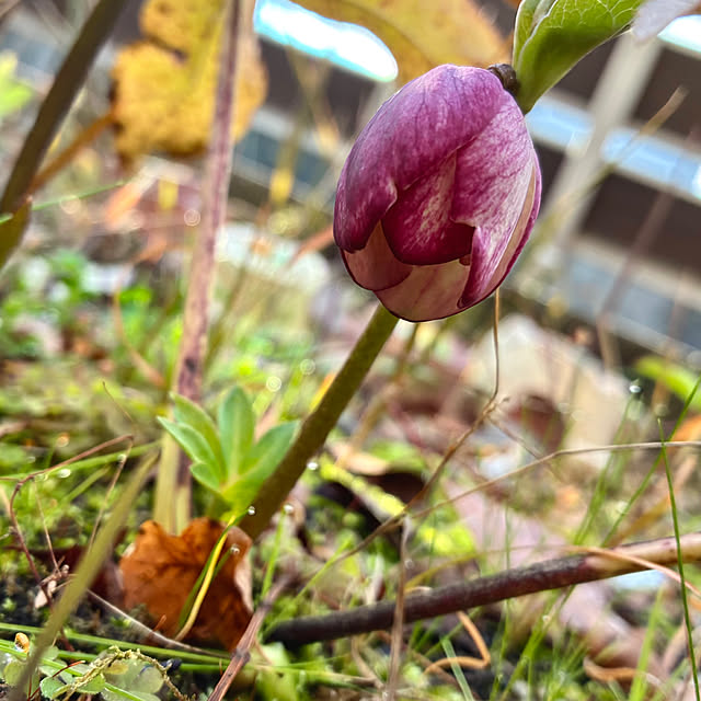 ayayayayaさんの部屋