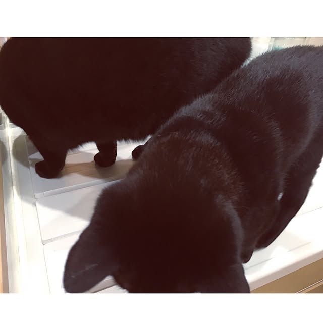 HRMLRさんの実例写真