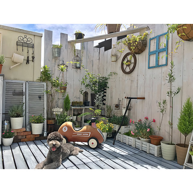 makoriさんの実例写真