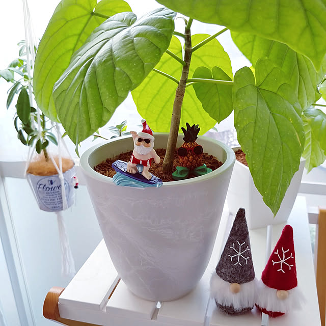chikoさんの実例写真