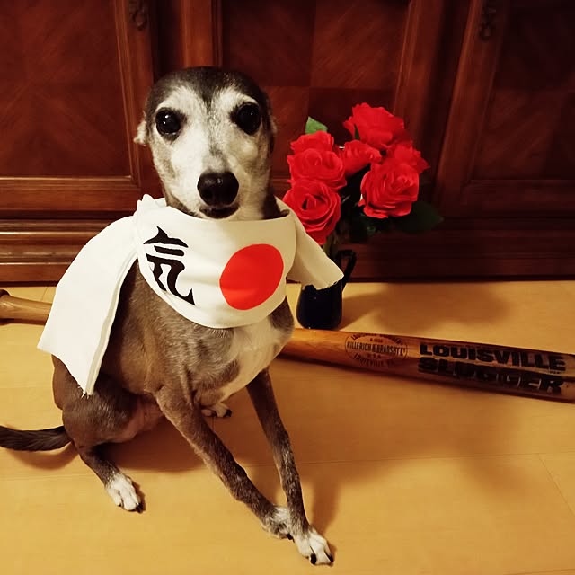 moruさんの部屋