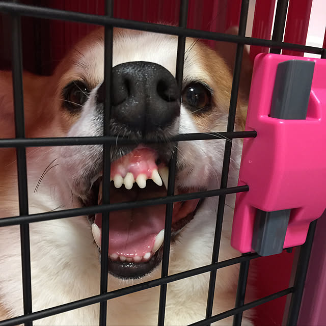 mihoさんの実例写真