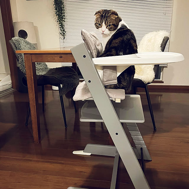 tansukeさんの実例写真