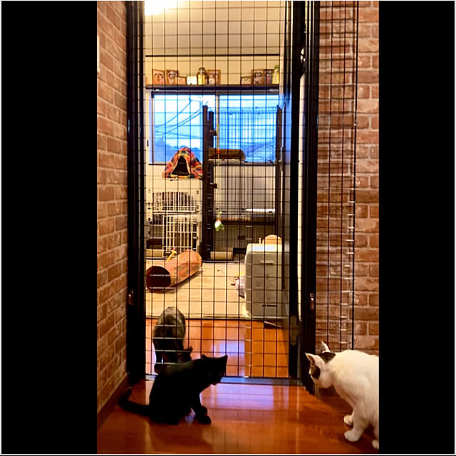 butachanさんの実例写真