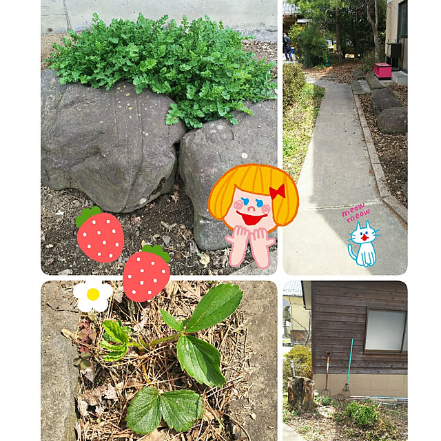 cherrycherryさんの実例写真