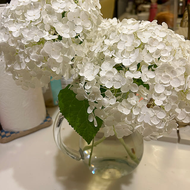 chiyukouさんの部屋
