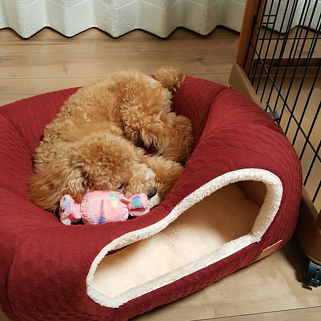 aiiさんの実例写真