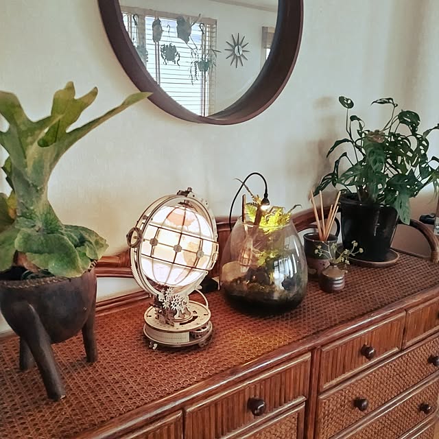 棚/違う角度から/植物のある暮らし/ボタニカルインテリア/アジアン家具のインテリア実例 - 2024-09-01 08:19:26