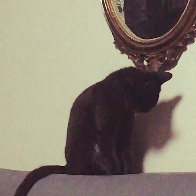 uraraさんの実例写真