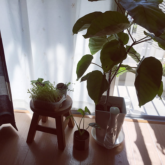 y.u.i.0716さんの実例写真