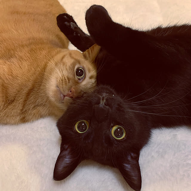 rioさんの実例写真