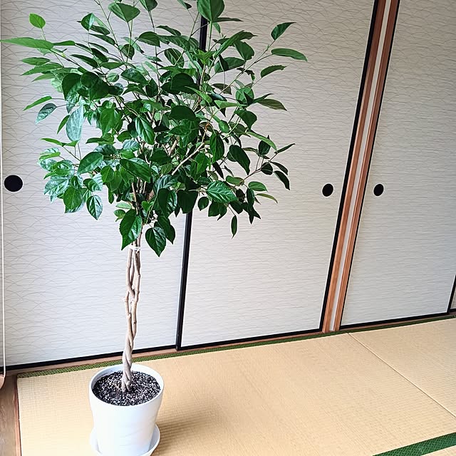 hanachanさんの実例写真