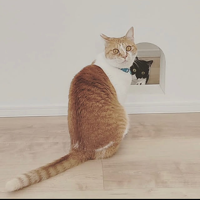 Yさんの実例写真