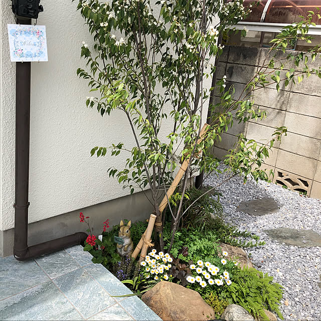 InfiniRoseさんの実例写真