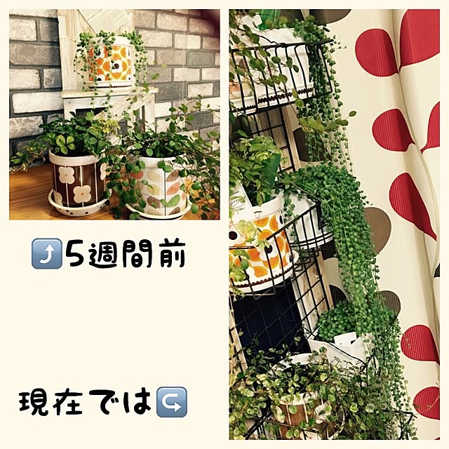 ssmami0723さんの実例写真