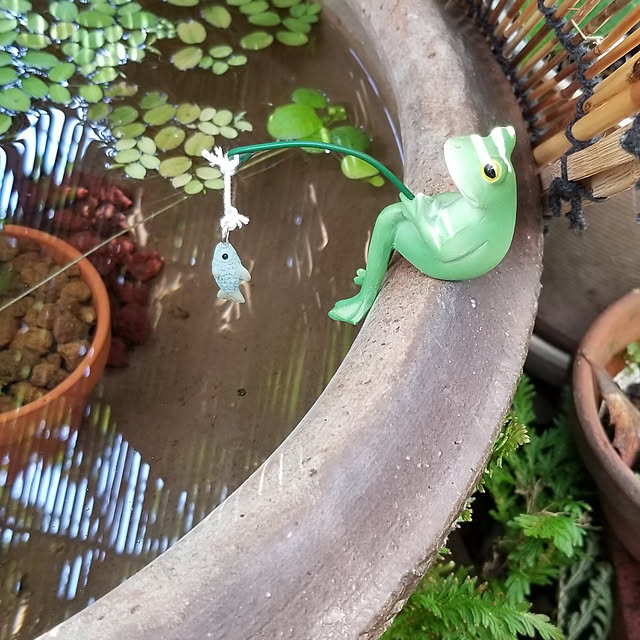 midoriさんの実例写真