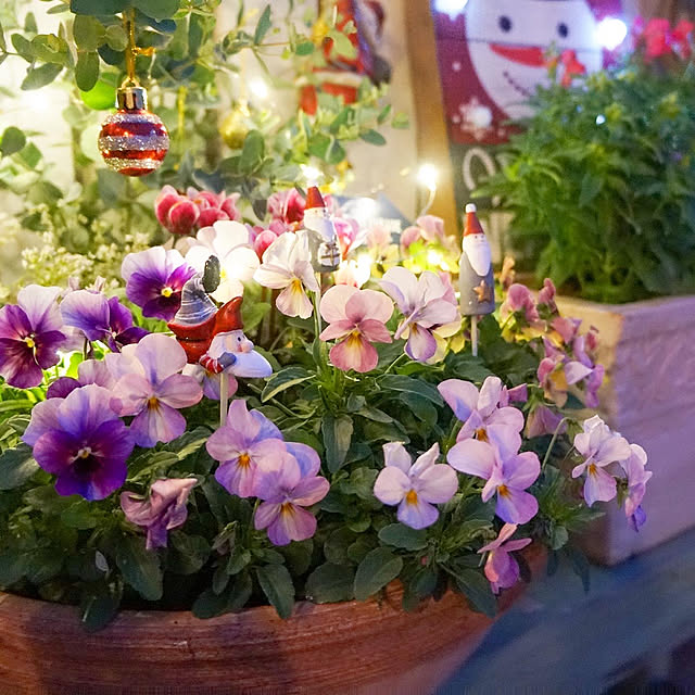 r_6cafeさんの実例写真