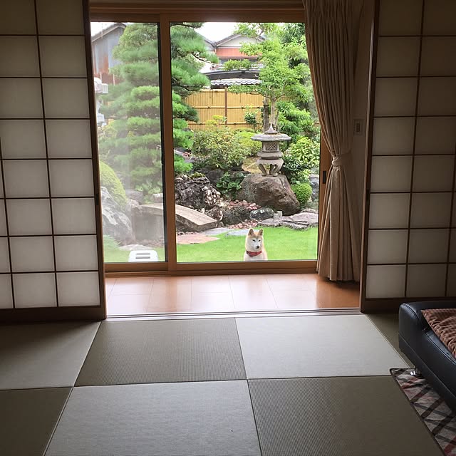 septemberさんの実例写真