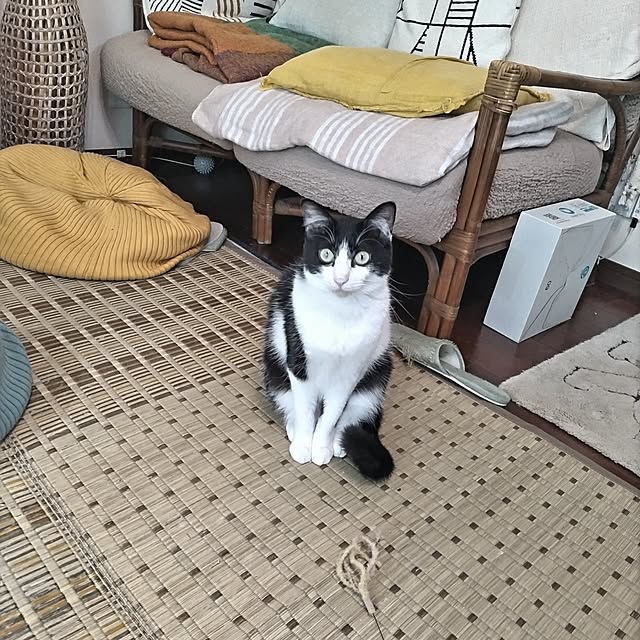 yuuさんの実例写真