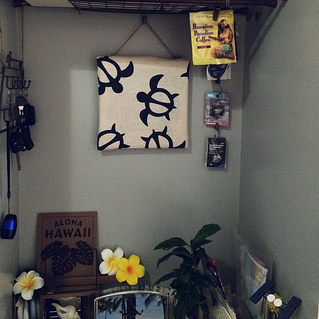 mouseionさんの実例写真