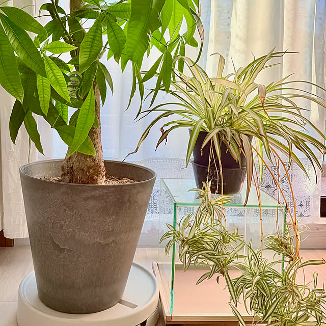 funiさんの部屋