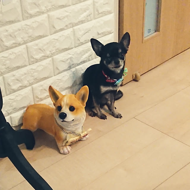 Bienvenueさんの実例写真