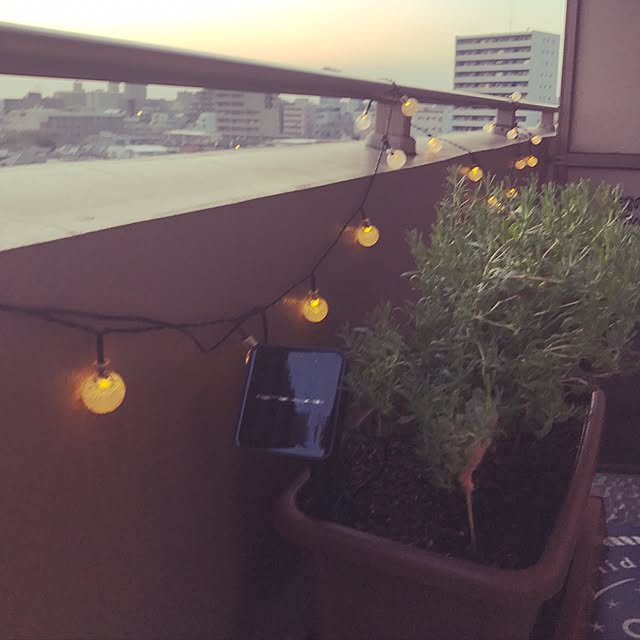 Stephさんの実例写真