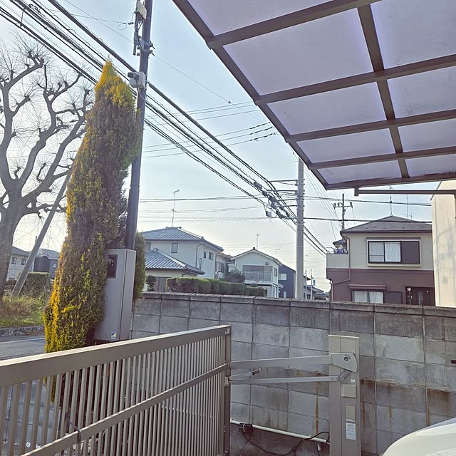 mutyukingさんの実例写真