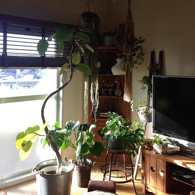 tintaさんの実例写真