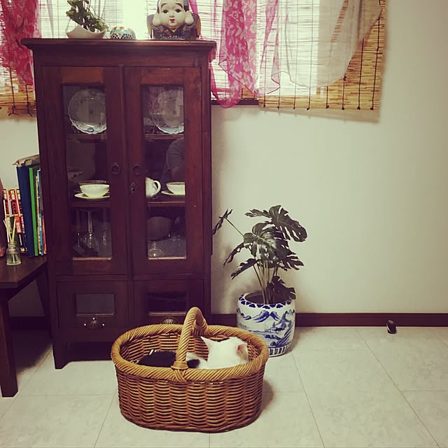 ベッド周り/観葉植物/レトロのインテリア実例 - 2016-07-17 12:42:21
