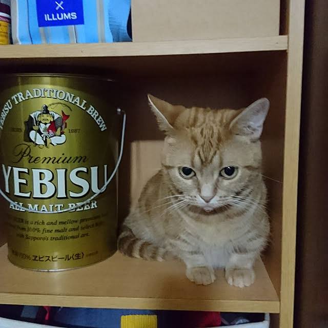 shinobuさんの実例写真
